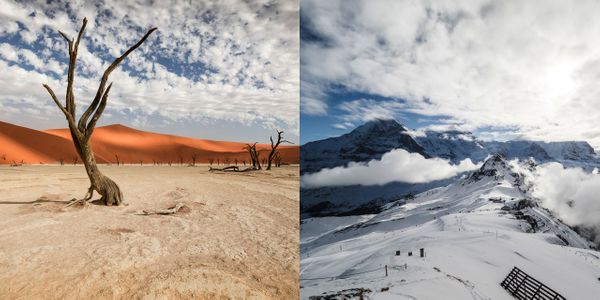 Namibian sands vs. Alpine Ski Cups